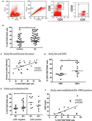 CD28− Cells Are Increased in Early Rheumatoid Arthritis and Are Linked With Cytomegalovirus Status